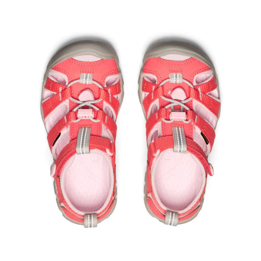 Little Kids' Seacamp II CNX  |  Dubarry/Giggle Pink Slide Style
