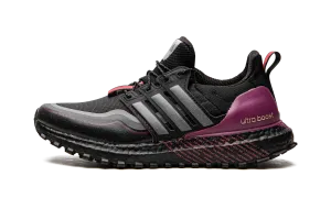 UltraBoost C.RDY DNA Light Travel Kick Off