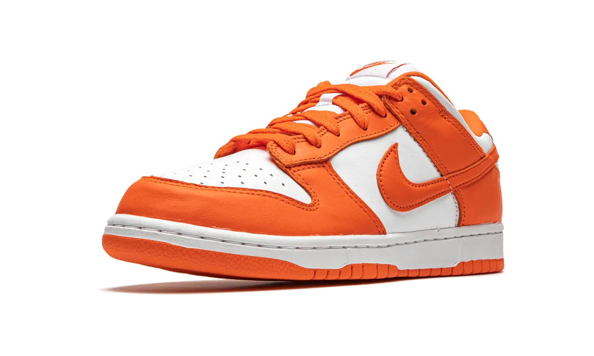 Dunk Low Retro "Syracuse 2020/2022" Premium Fit Mesh Detail