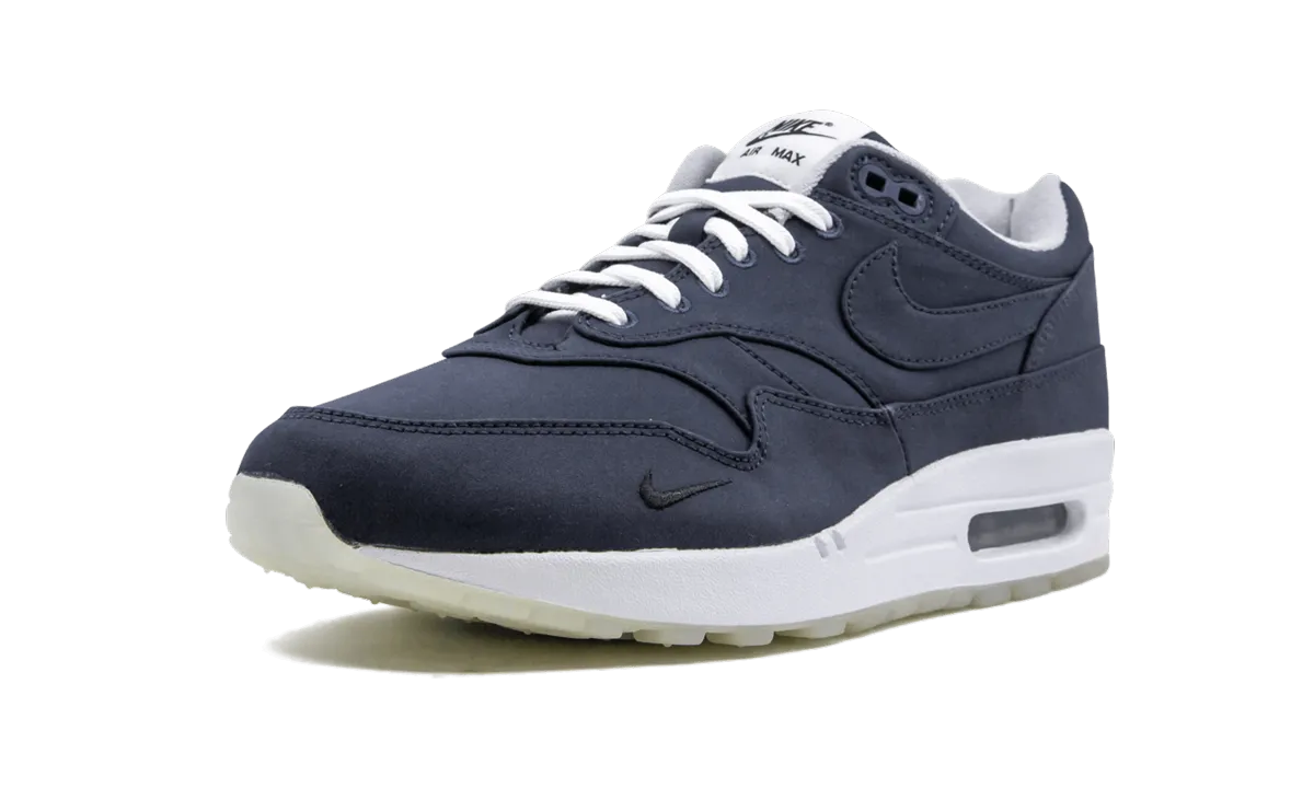 Air Max 1 "DSM" Stable Walk
