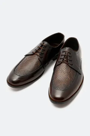 Brown Derby Formal Shoes Everyday Setting