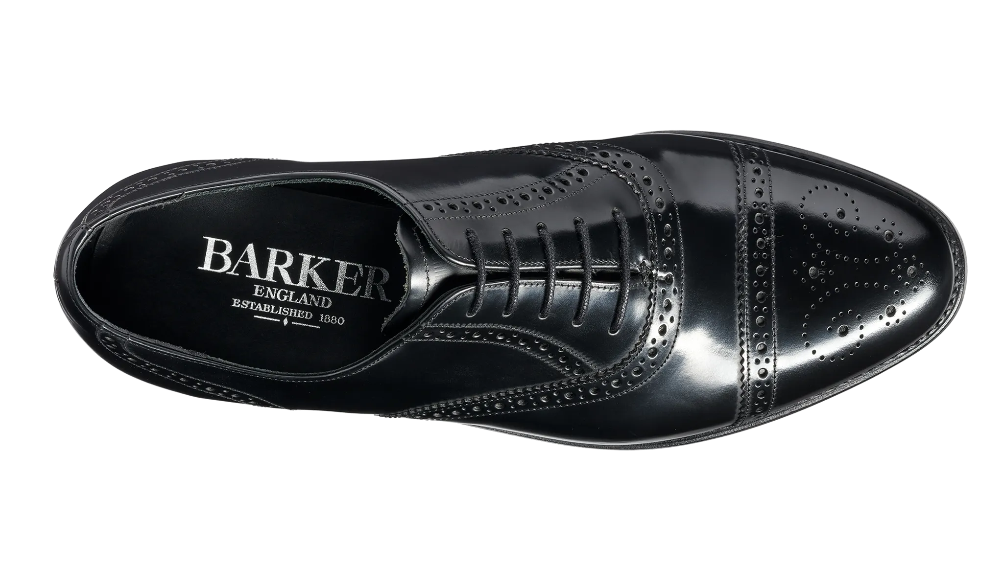 Charterhouse - Black Hi-Shine Shock Absorbing