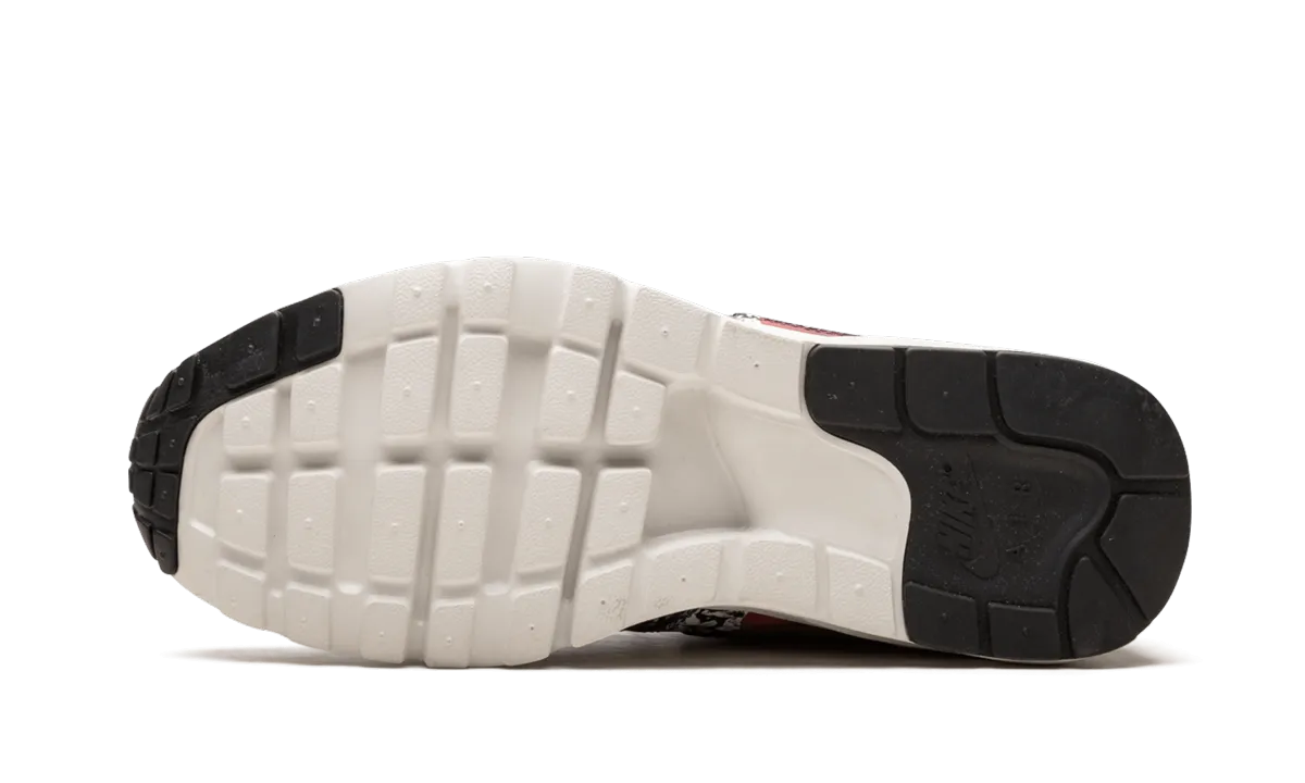 AIR MAX 1 ULTRA LOTC QS WMNS Air Cushion Relax Movement