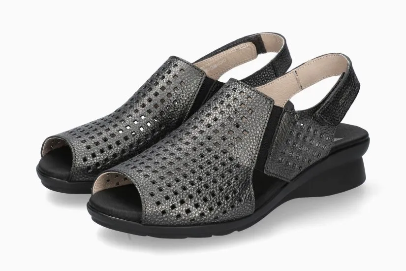 Celebrity Vibe Polka - Carbon 990C