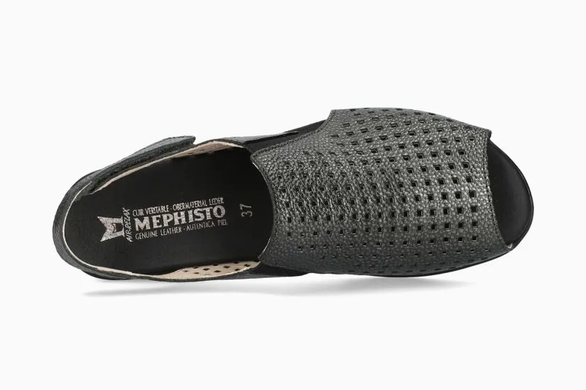 Polka - Carbon 990C Forest Path