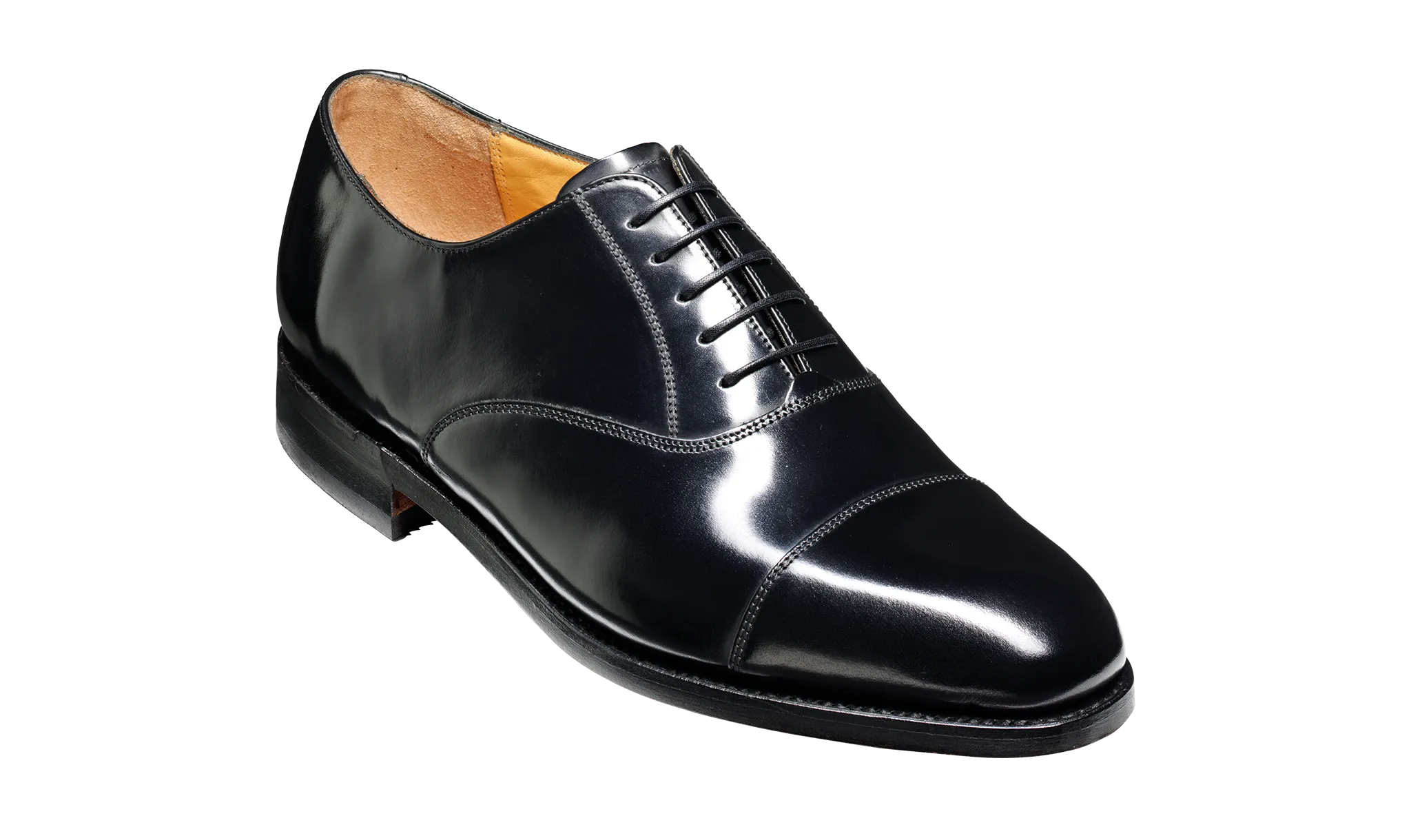 Arnold - Black Hi-Shine Team Project