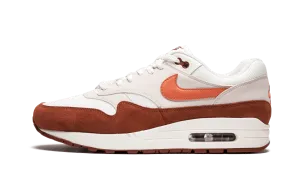 Ride Friendly Padded Air Max 1