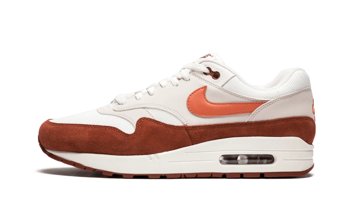 Ride Friendly Padded Air Max 1
