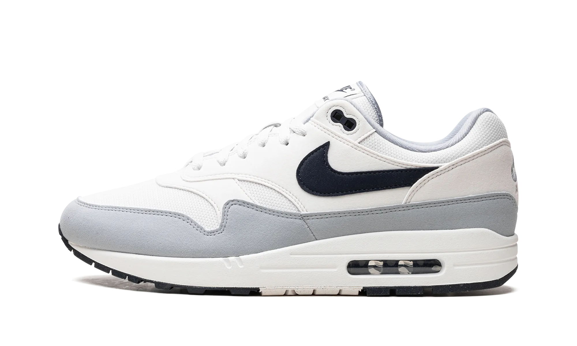 Picnic Mood Nike Air Max 1 "Dark Obsidian"