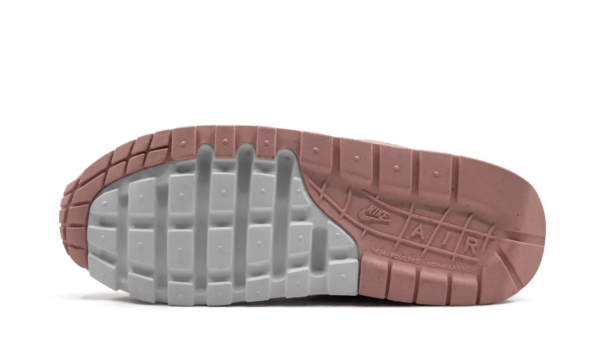 Cushioned Footbed Air Max 1 NK Day (GS) "Have A Nike Day"