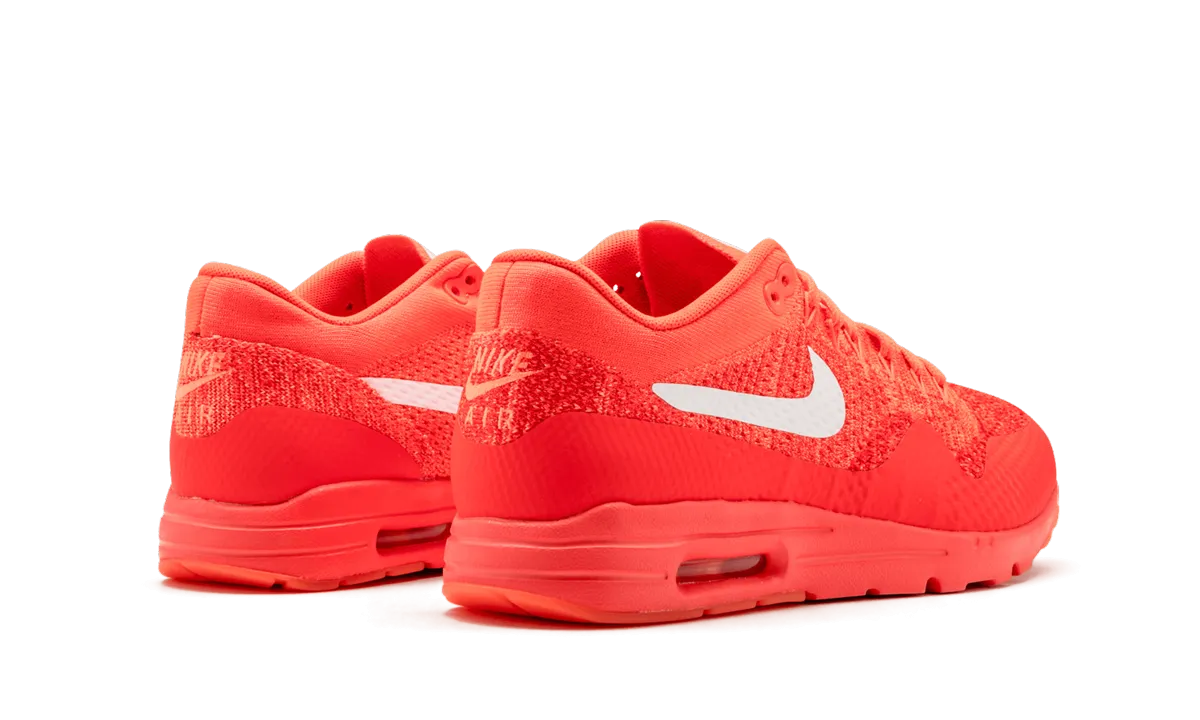 Fresh Walk AIR MAX 1 ULTRA FLYKNIT WMNS