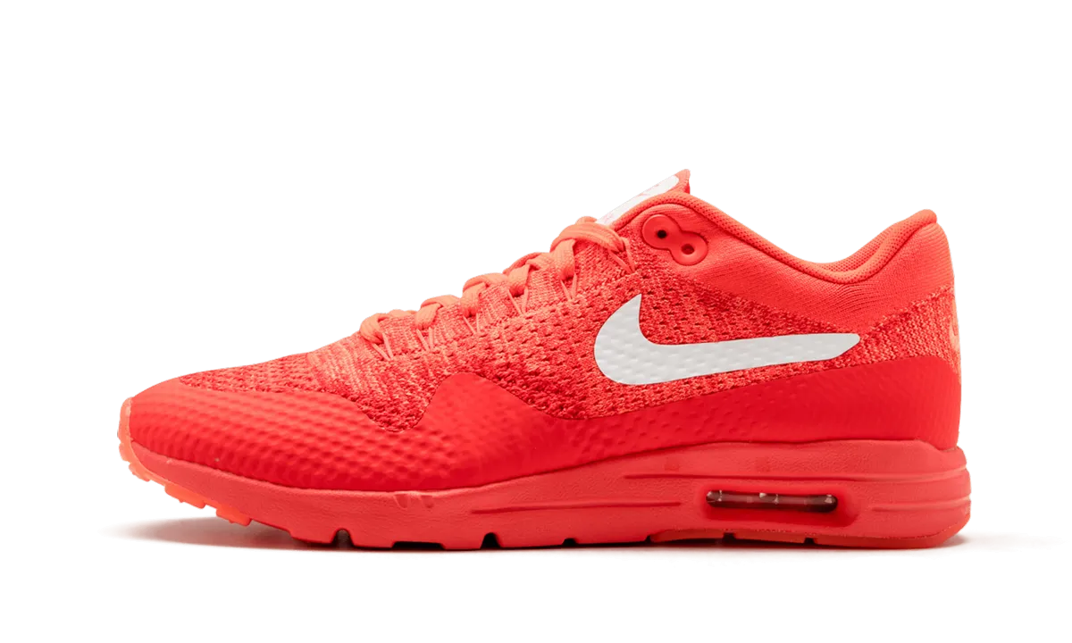AIR MAX 1 ULTRA FLYKNIT WMNS Light Hike