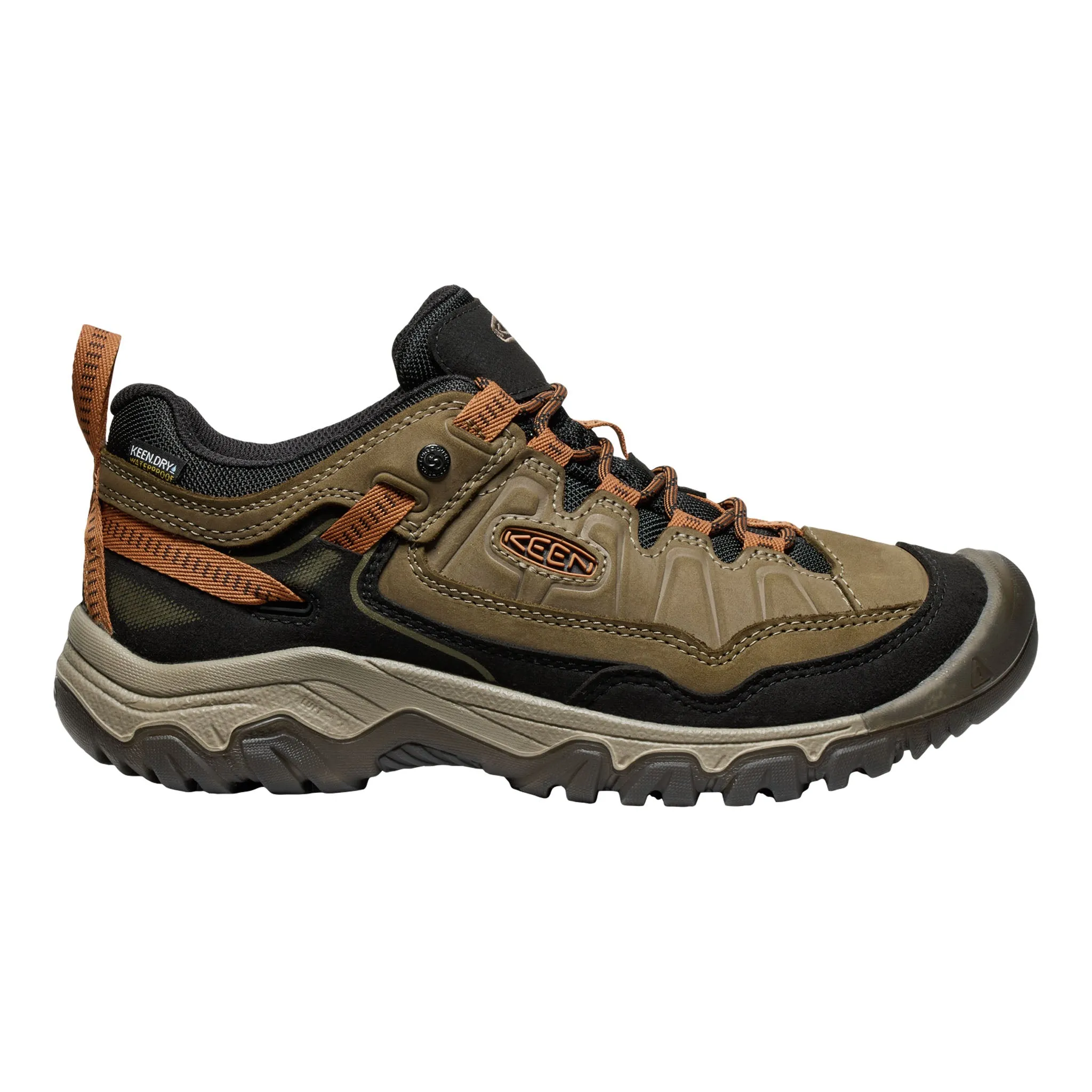 Men's Targhee IV Waterproof Hiking Shoe Sea Turtle/Roasted Pecan Stage Pop Gloss Finish