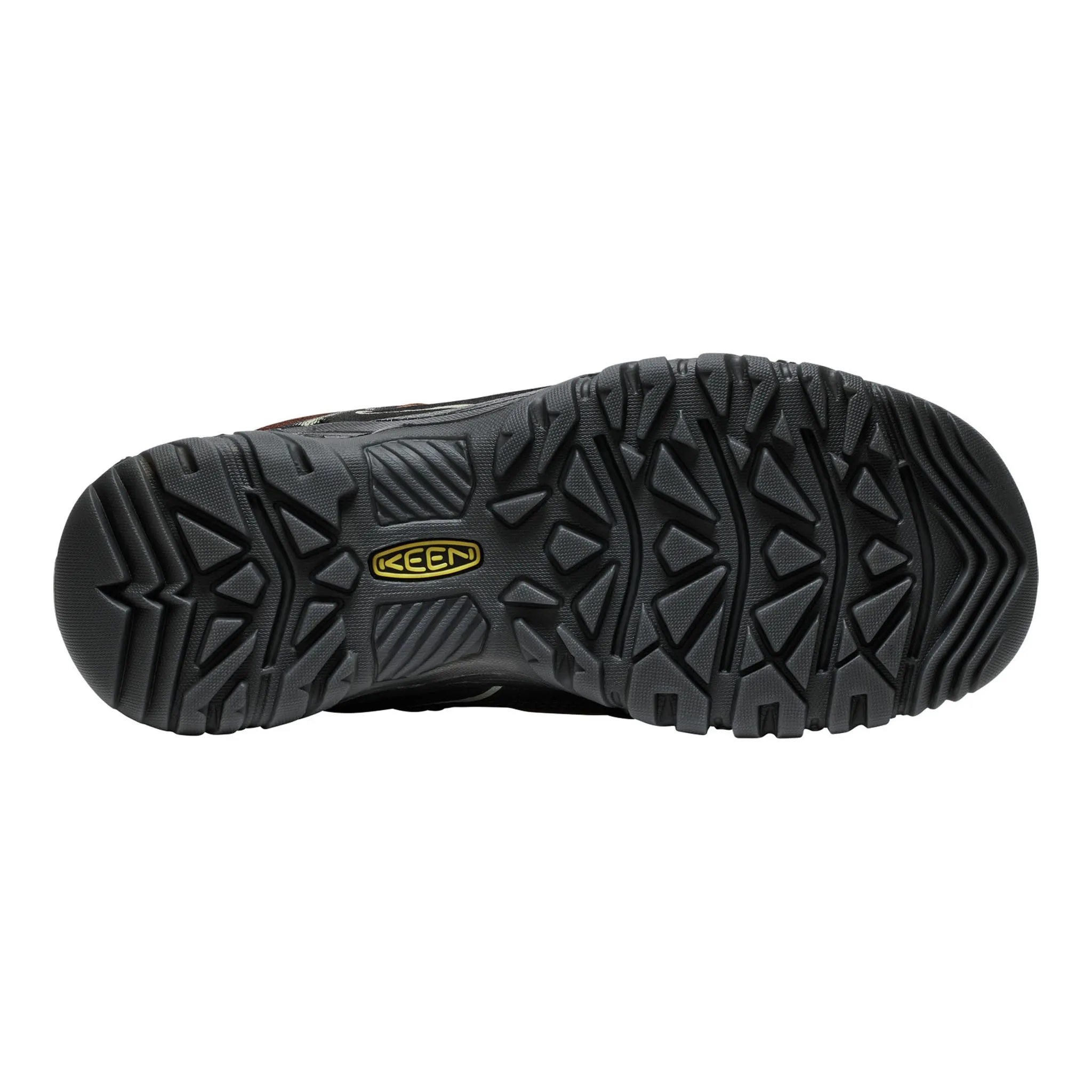 Dance Mode Sky Light Men's Targhee IV Waterproof Hiking Shoe Bison/Black
