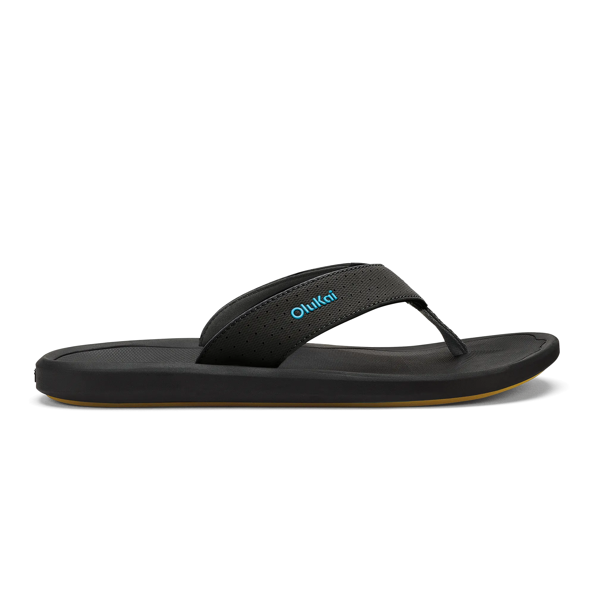 Ki??i - Lava Rock / Bold Blue Pet Walk