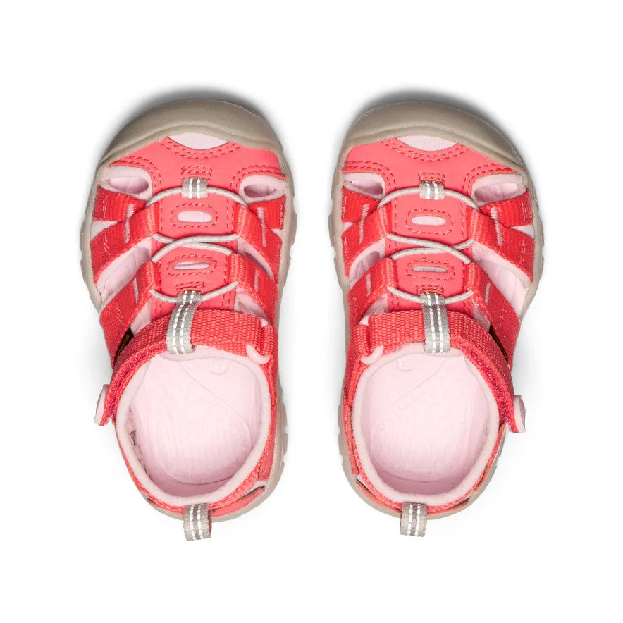 Everyday Wear Toddlers' Seacamp II CNX  |  Dubarry/Giggle Pink