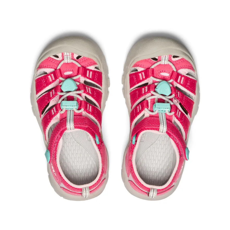 Little Kids' Newport H2  |  Raspberry/Giggle Pink Casual Outdoor Shoes